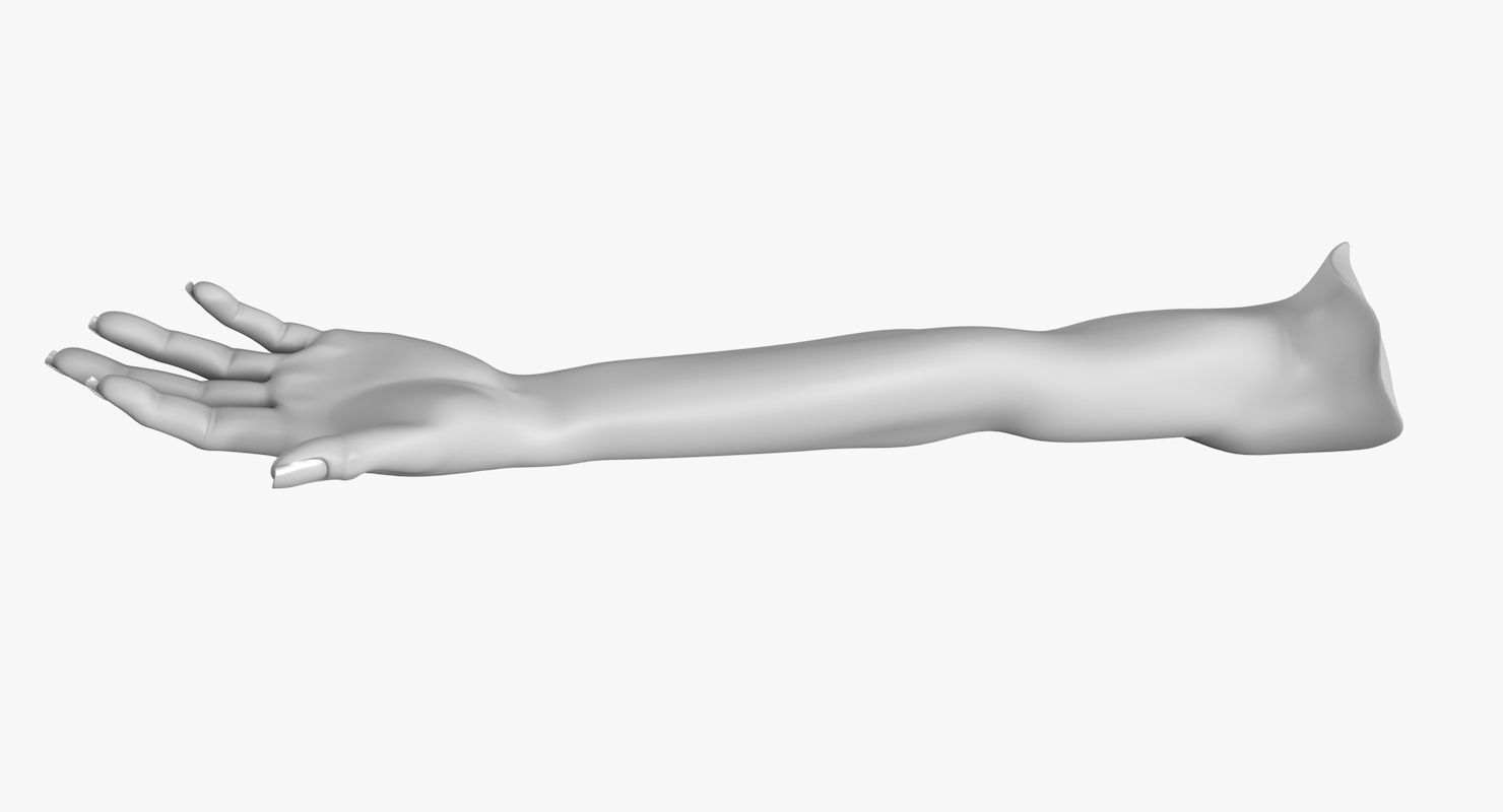 Arm left without texture 3d model female Low-poly 3D model_11