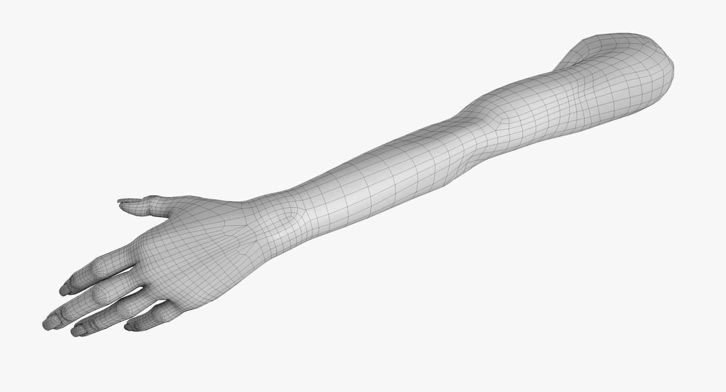 Arm left without texture 3d model female Low-poly 3D model_19
