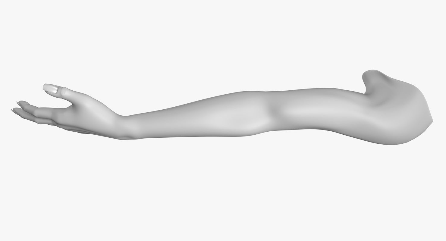 Arm left without texture 3d model female Low-poly 3D model_9