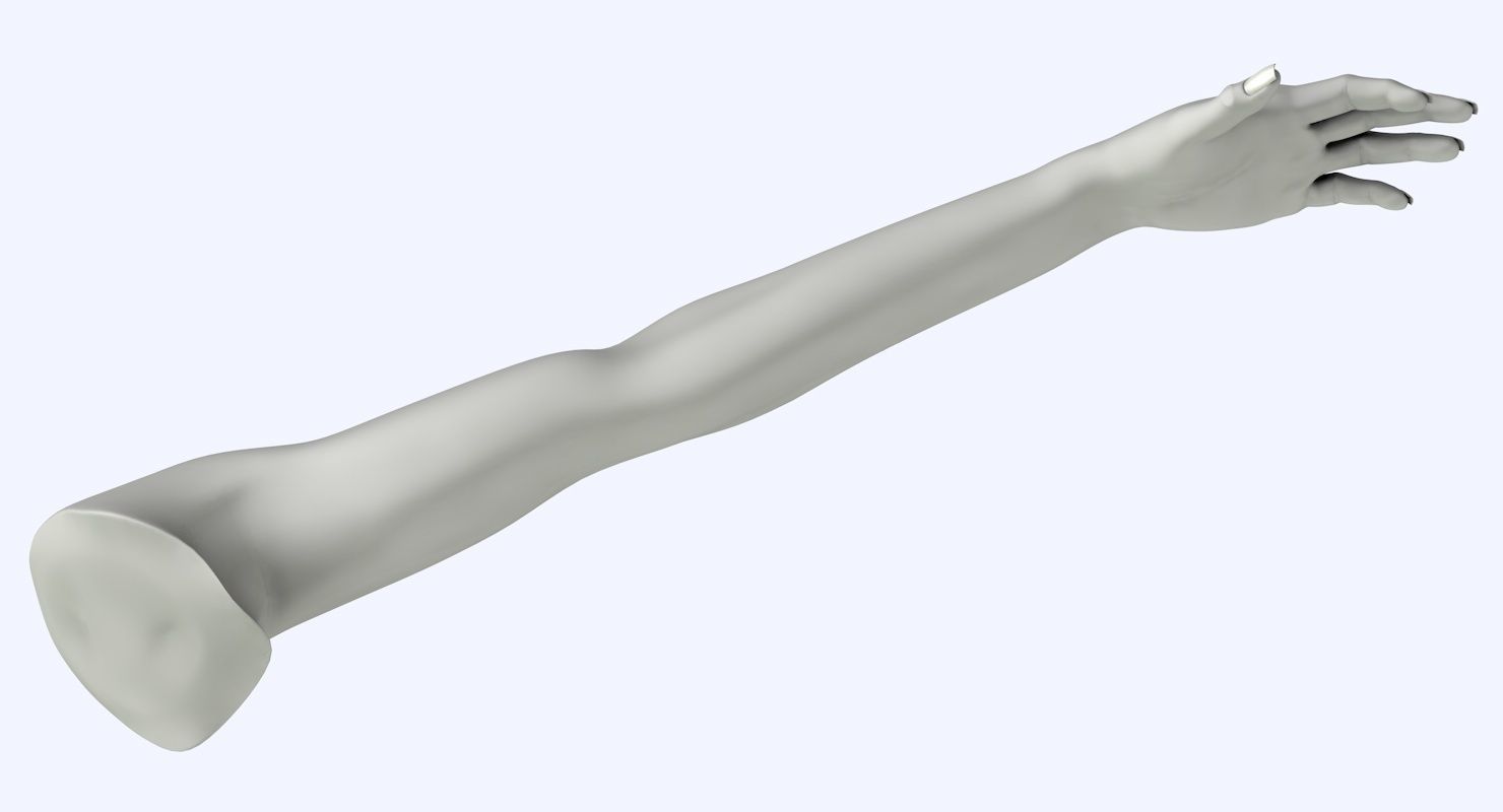 Arm left without texture 3d model female Low-poly 3D model_15