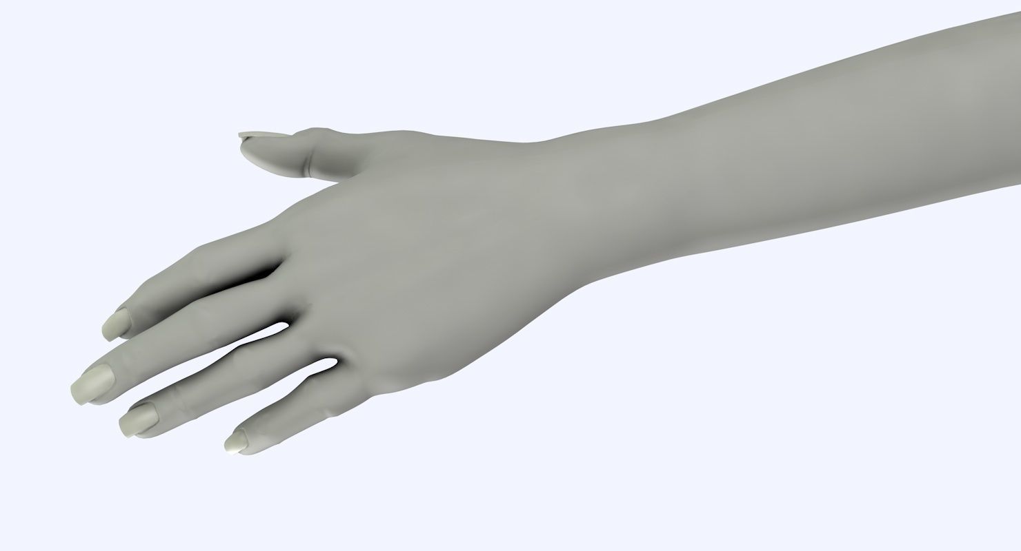 Arm left without texture 3d model female Low-poly 3D model_31