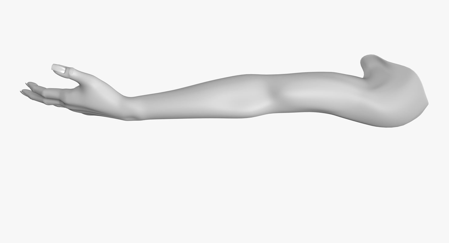 Arm left without texture 3d model female Low-poly 3D model_8