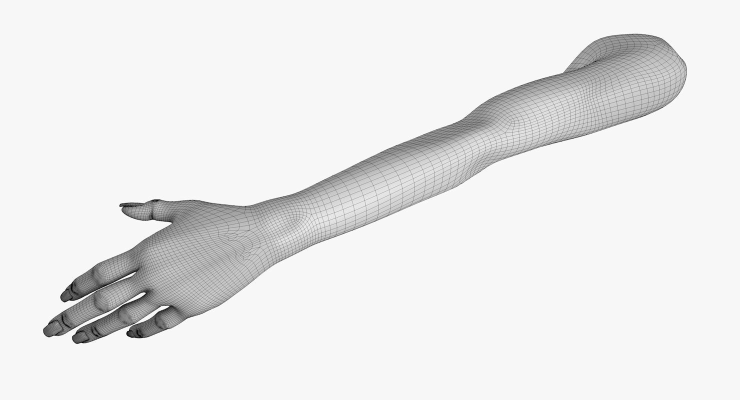 Arm left without texture 3d model female Low-poly 3D model_20