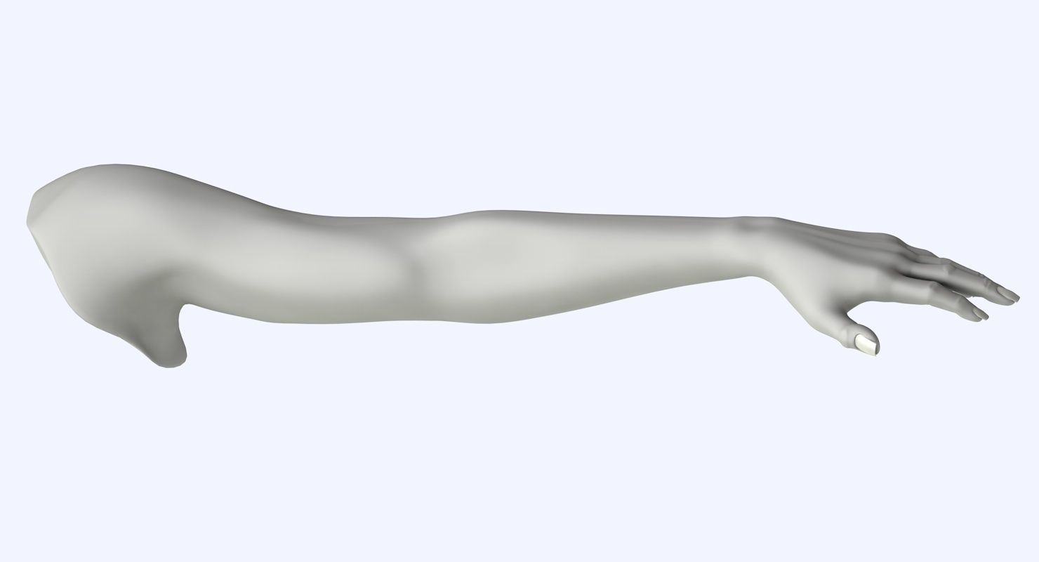 Arm left without texture 3d model female Low-poly 3D model_12