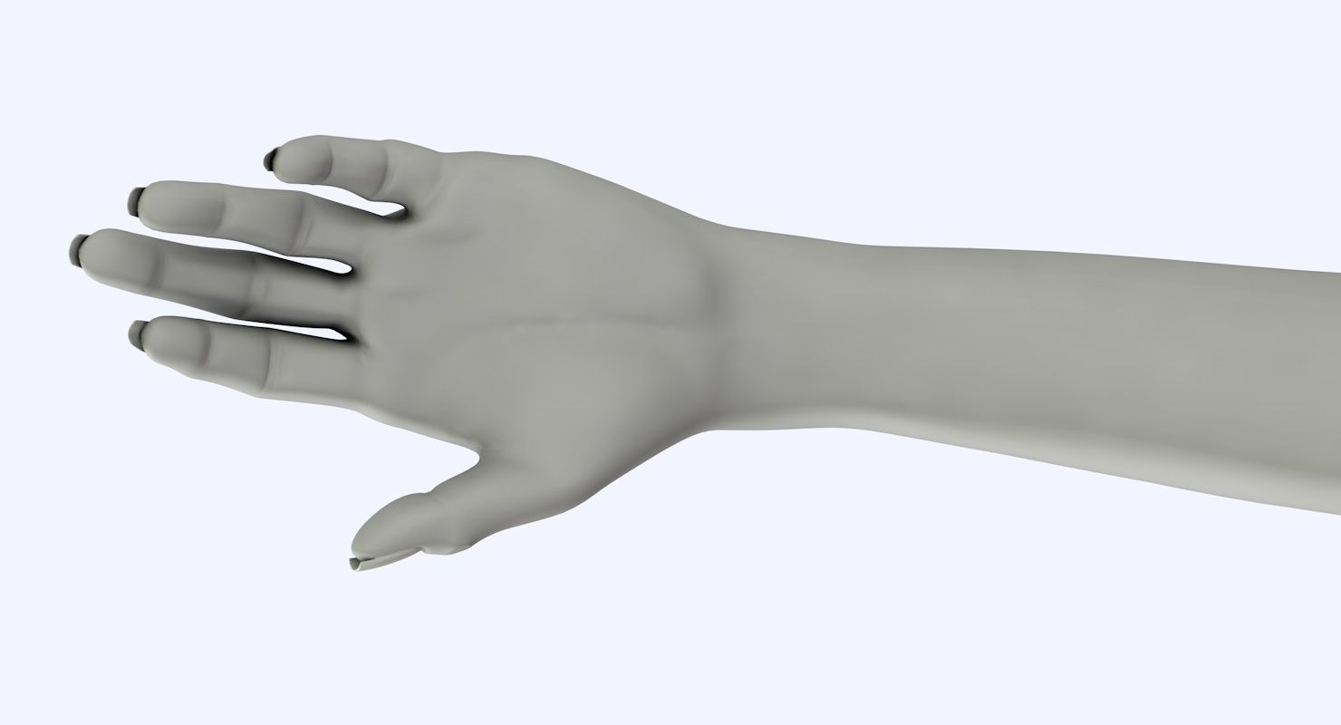 Arm left without texture 3d model female Low-poly 3D model_24