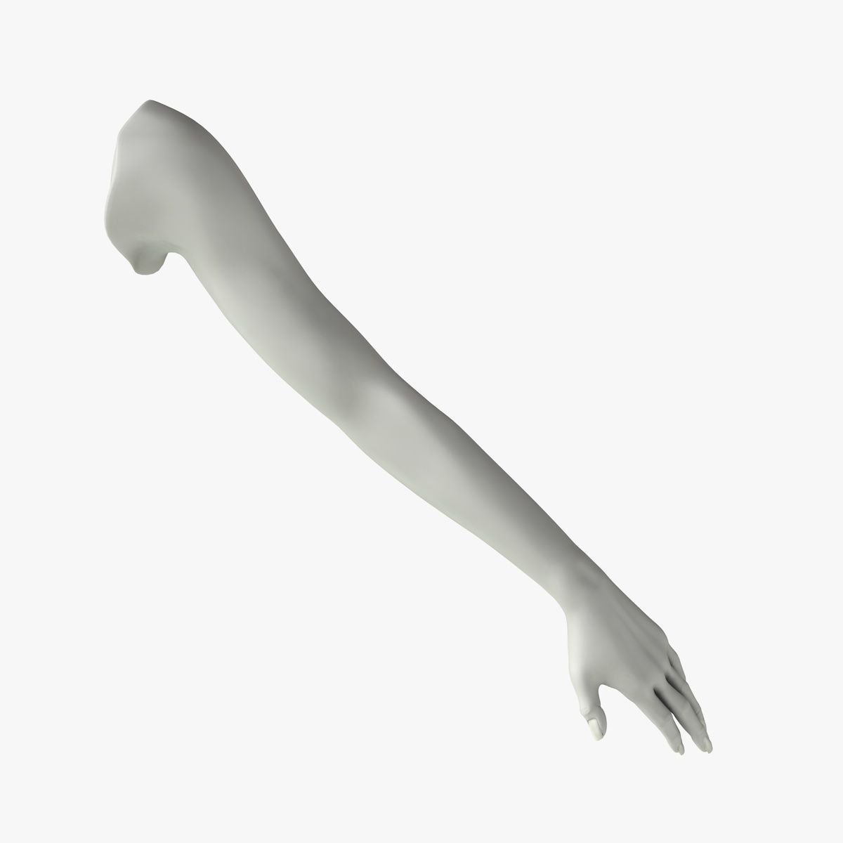 Arm left without texture 3d model female Low-poly 3D model_1