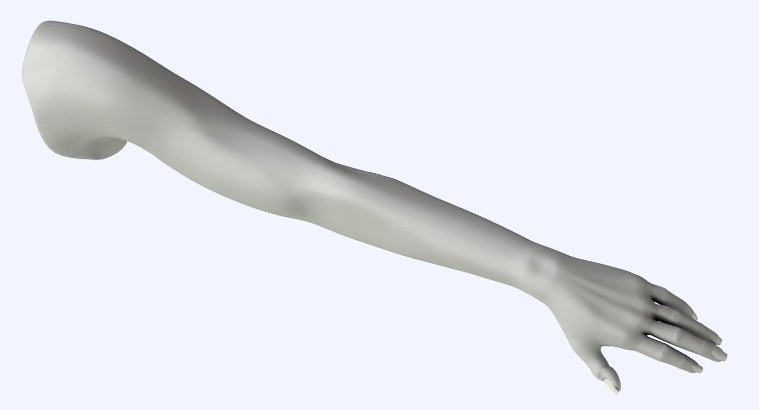 Arm left without texture 3d model female Low-poly 3D model_3