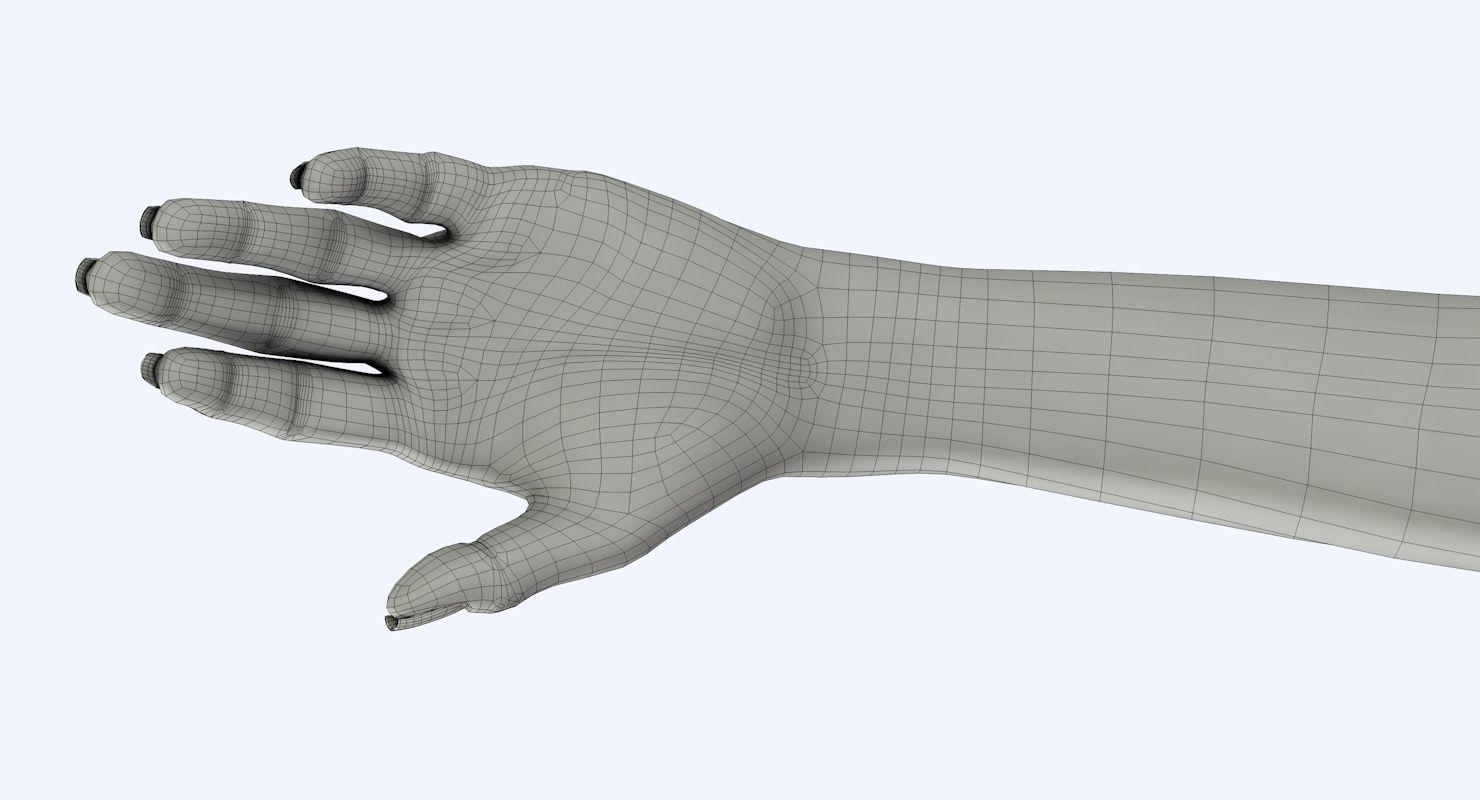 Arm left without texture 3d model female Low-poly 3D model_26