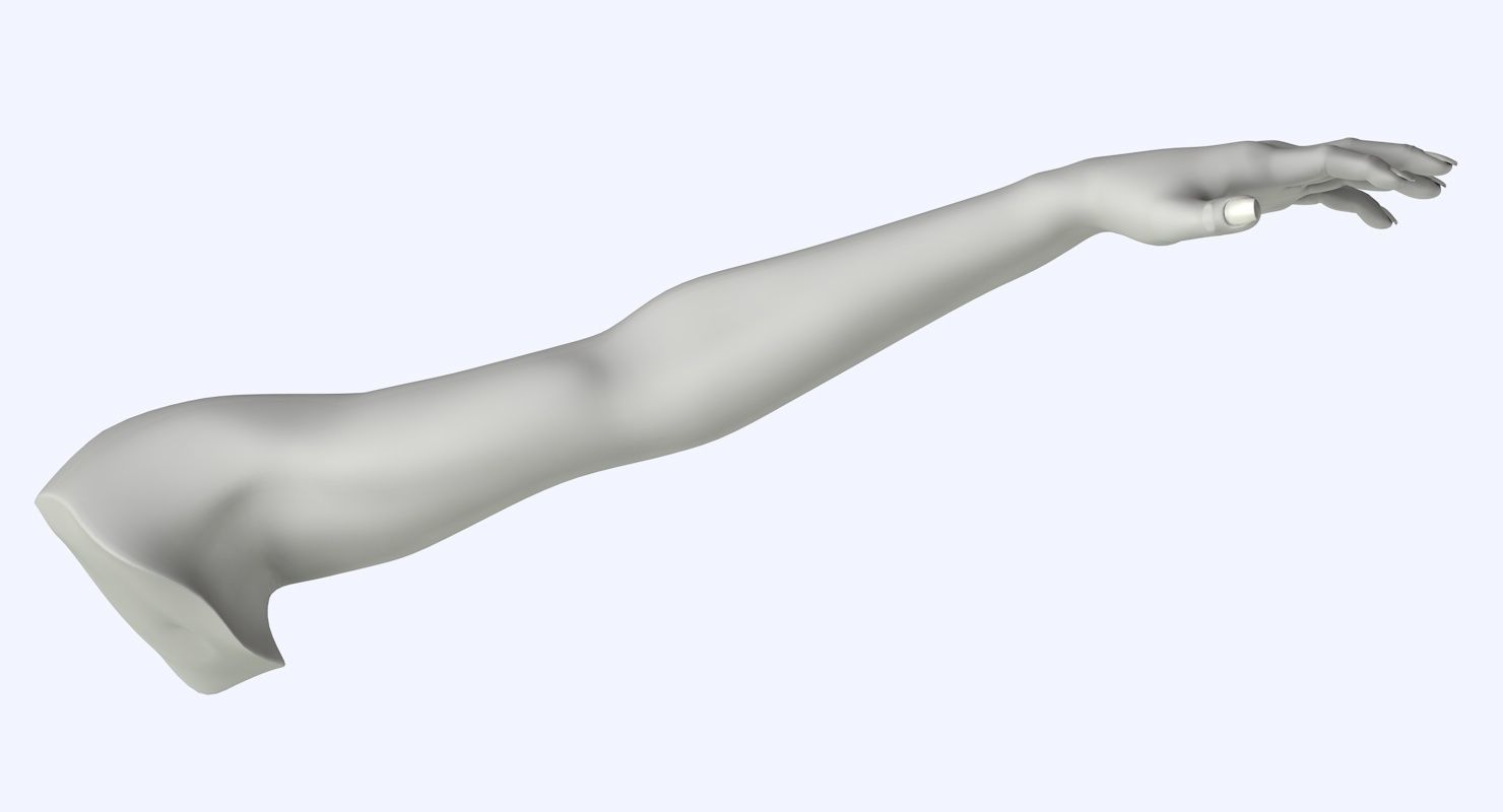 Arm left without texture 3d model female Low-poly 3D model_13
