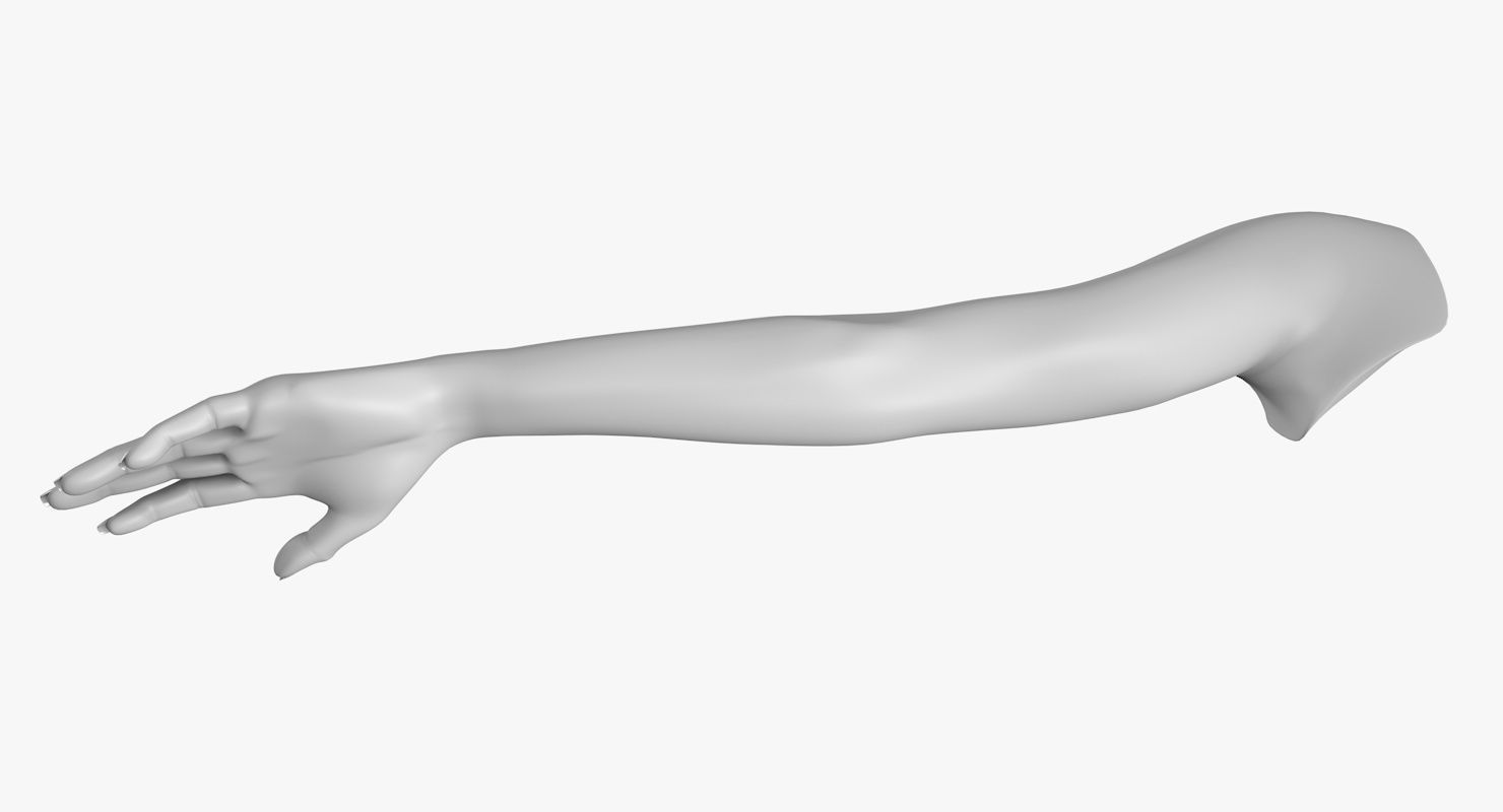 Arm left without texture 3d model female Low-poly 3D model_4