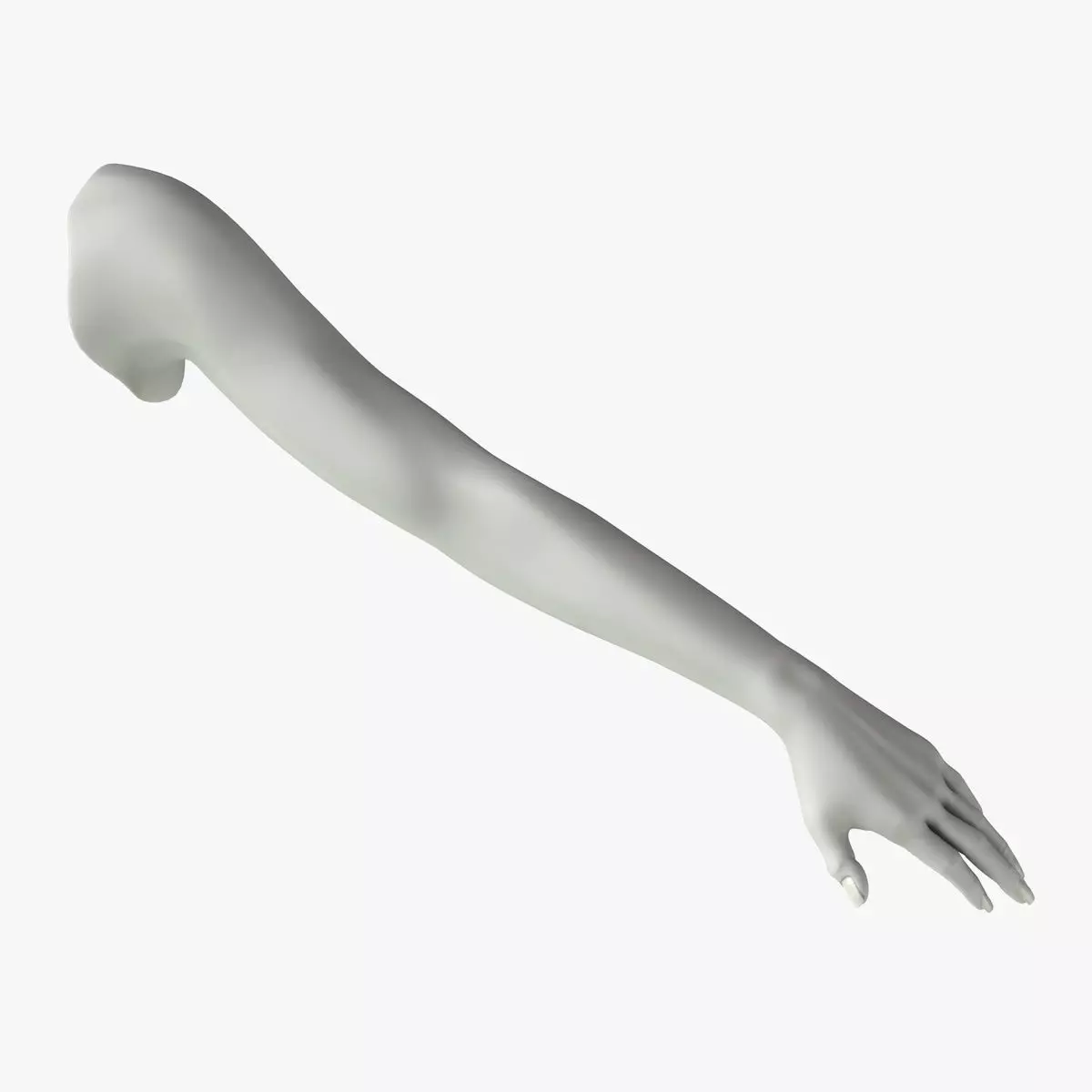 Arm left without texture 3d model female Low-poly 3D model_0