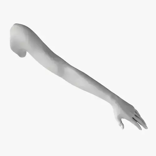 Arm left without texture 3d model female Low-poly 3D model
