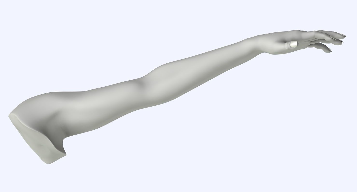 Arm left without texture 3d model female Low-poly 3D model_14