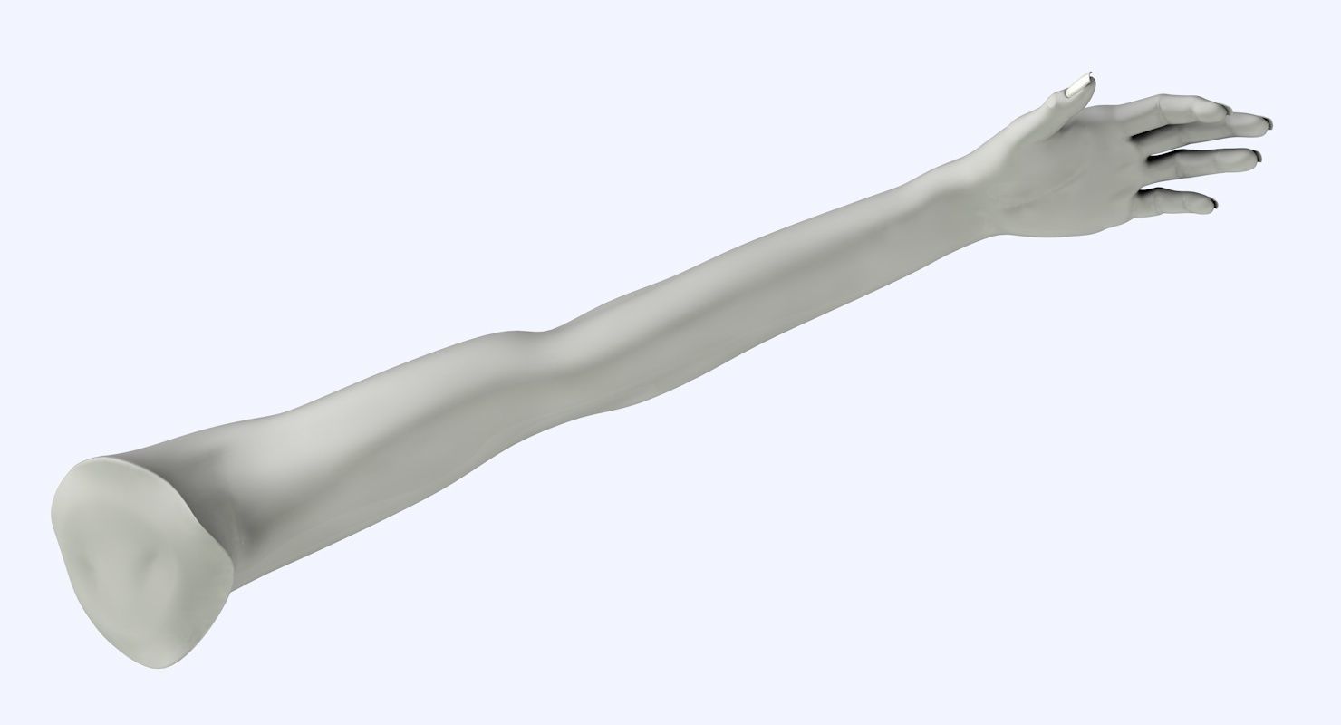 Arm left without texture 3d model female Low-poly 3D model_16