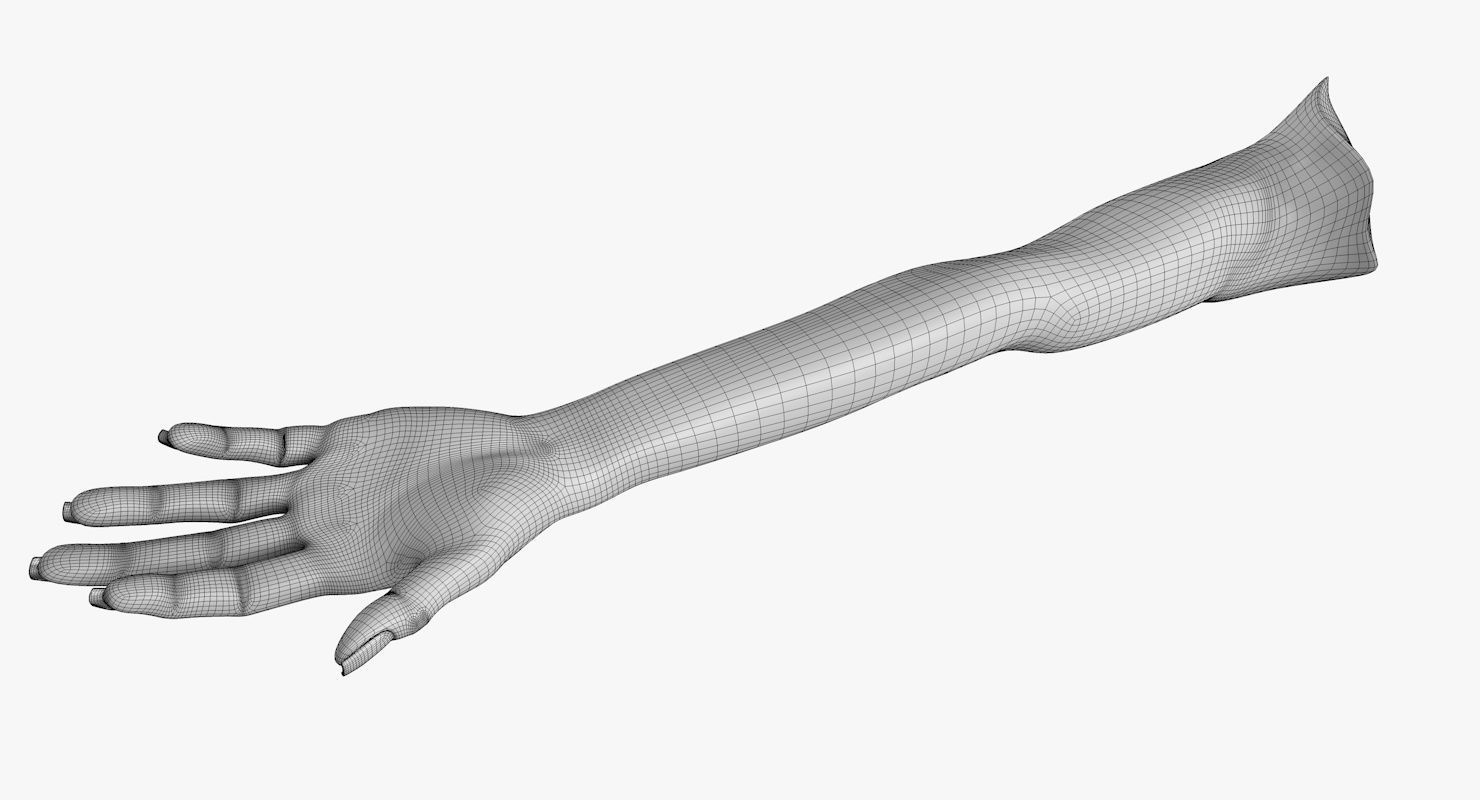 Arm left without texture 3d model female Low-poly 3D model_23