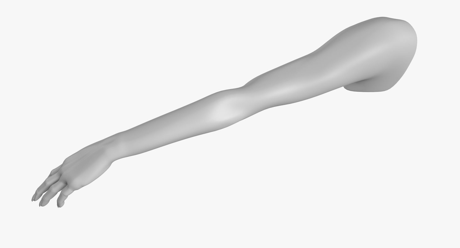 Arm left without texture 3d model female Low-poly 3D model_6