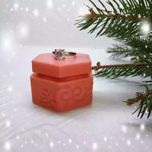  3d printed Coral box 3D print model