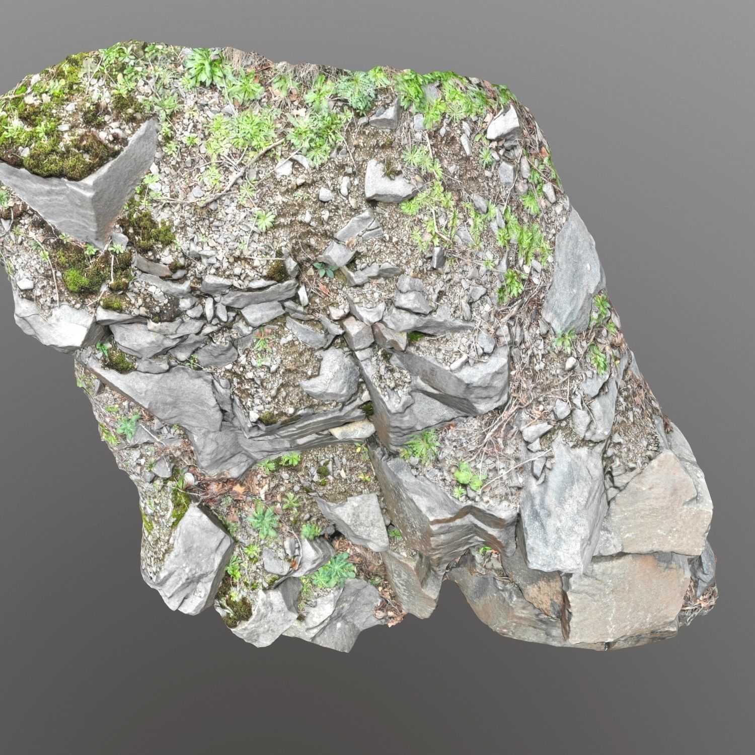 3d scanned cliff face L 3D model_6
