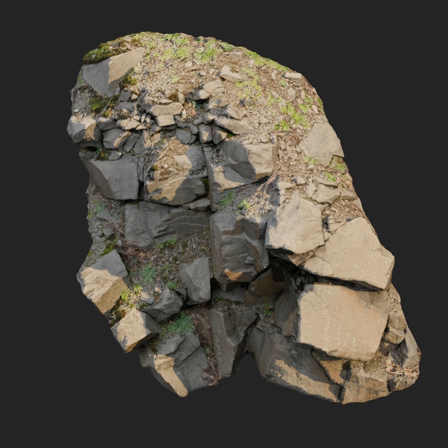 3d scanned cliff face L 3D model_7