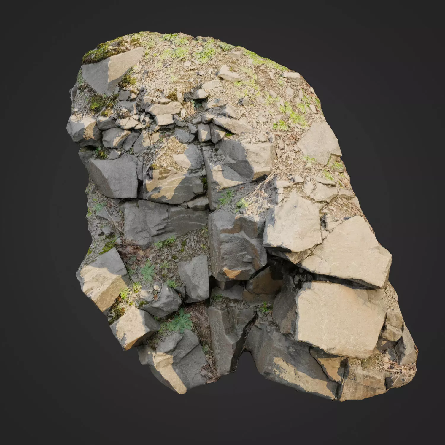 3d scanned cliff face L 3D model_0