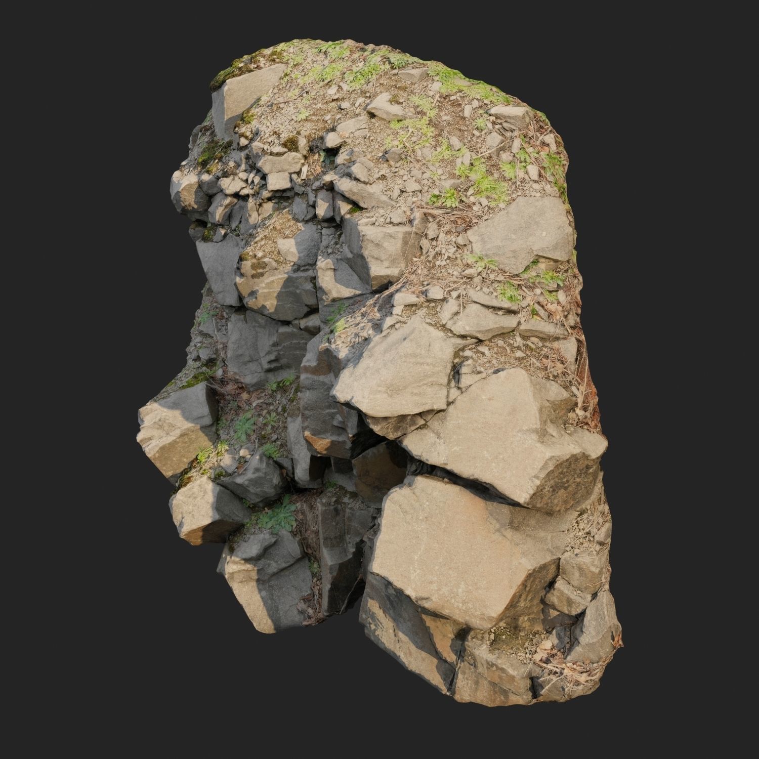 3d scanned cliff face L 3D model_8