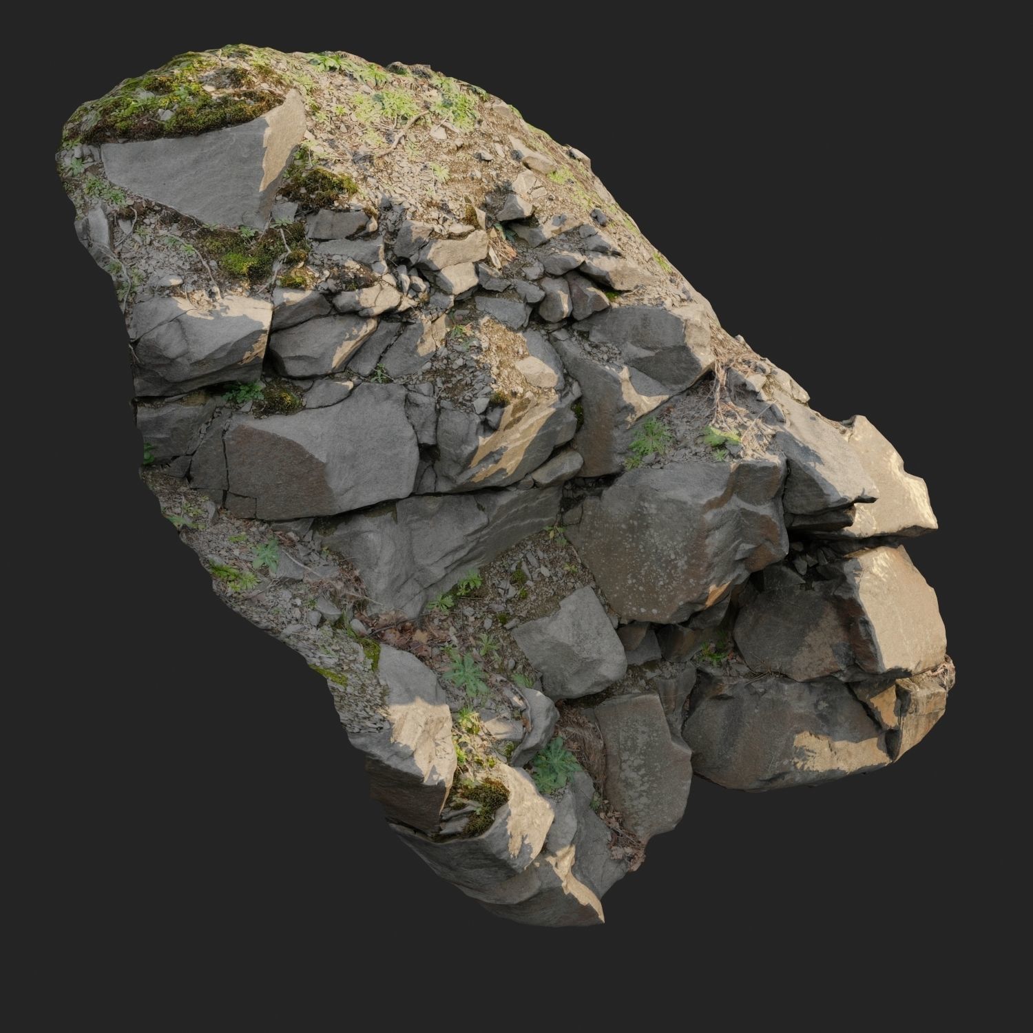 3d scanned cliff face L 3D model_9