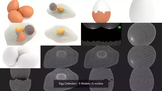 Egg Collection - 5 Models