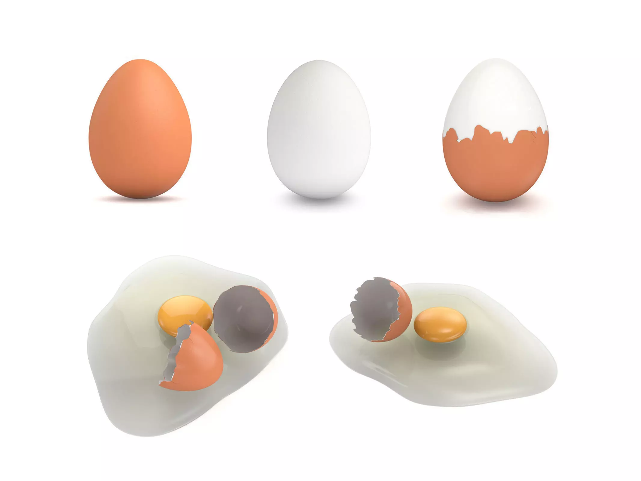 Egg Collection - 5 Models _0