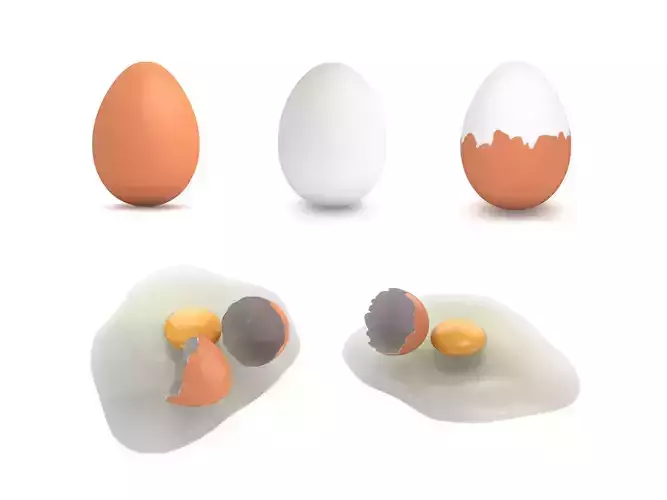 Egg Collection - 5 Models 