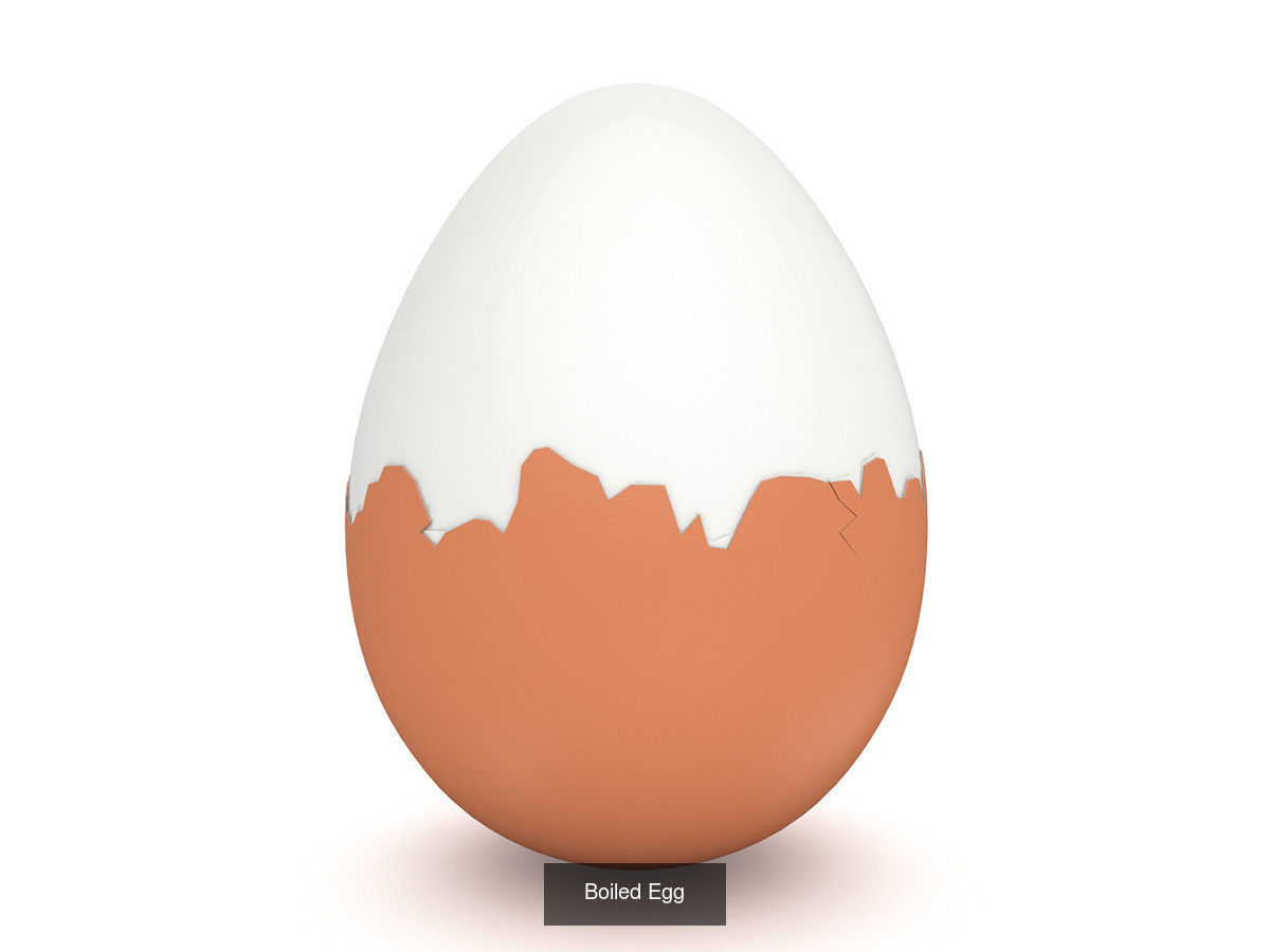 Egg Collection - 5 Models _7