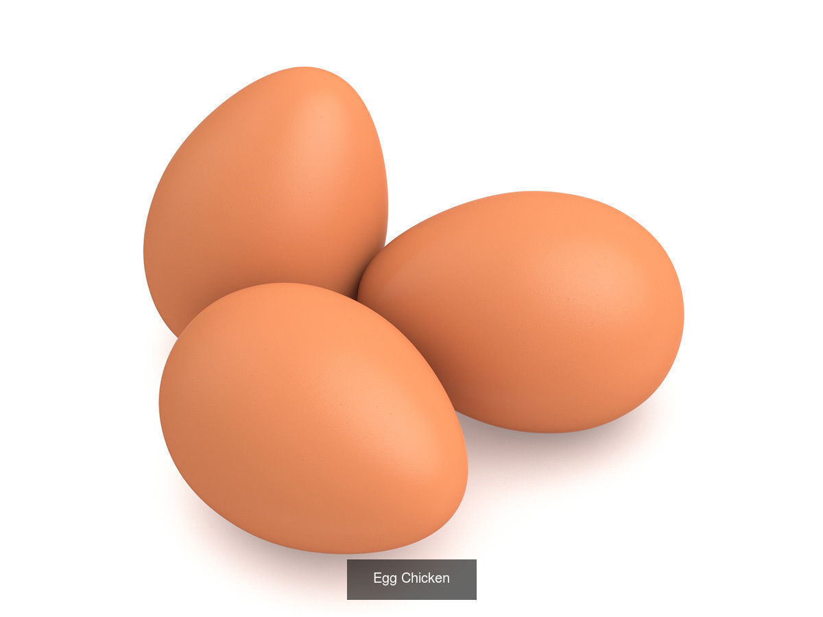 Egg Collection - 5 Models _4