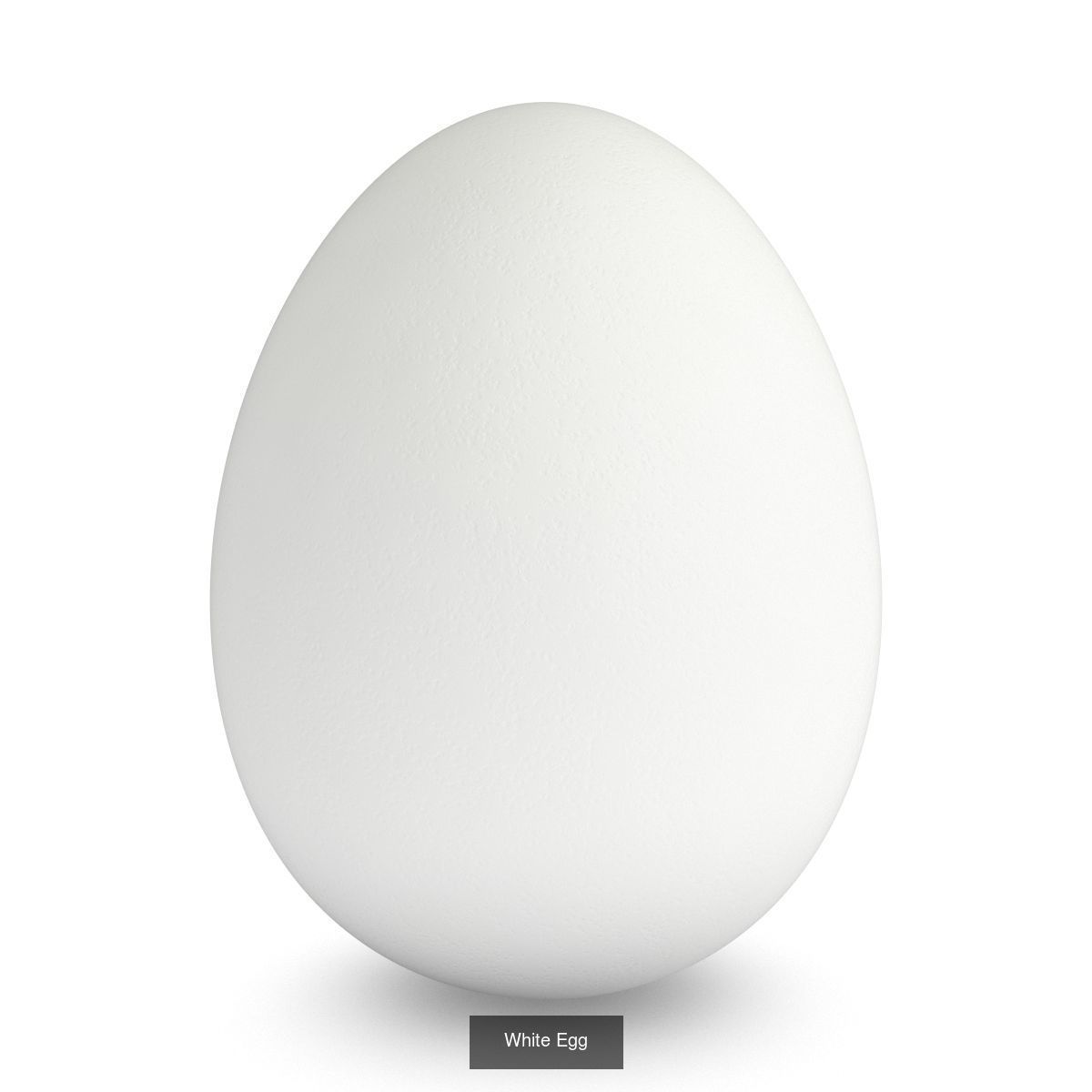 Egg Collection - 5 Models _3