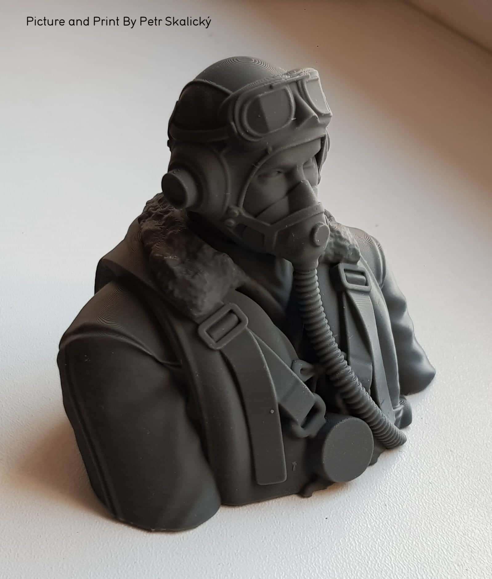 Pilot Bust 3D print model_3