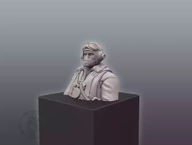 Pilot Bust 3D print model