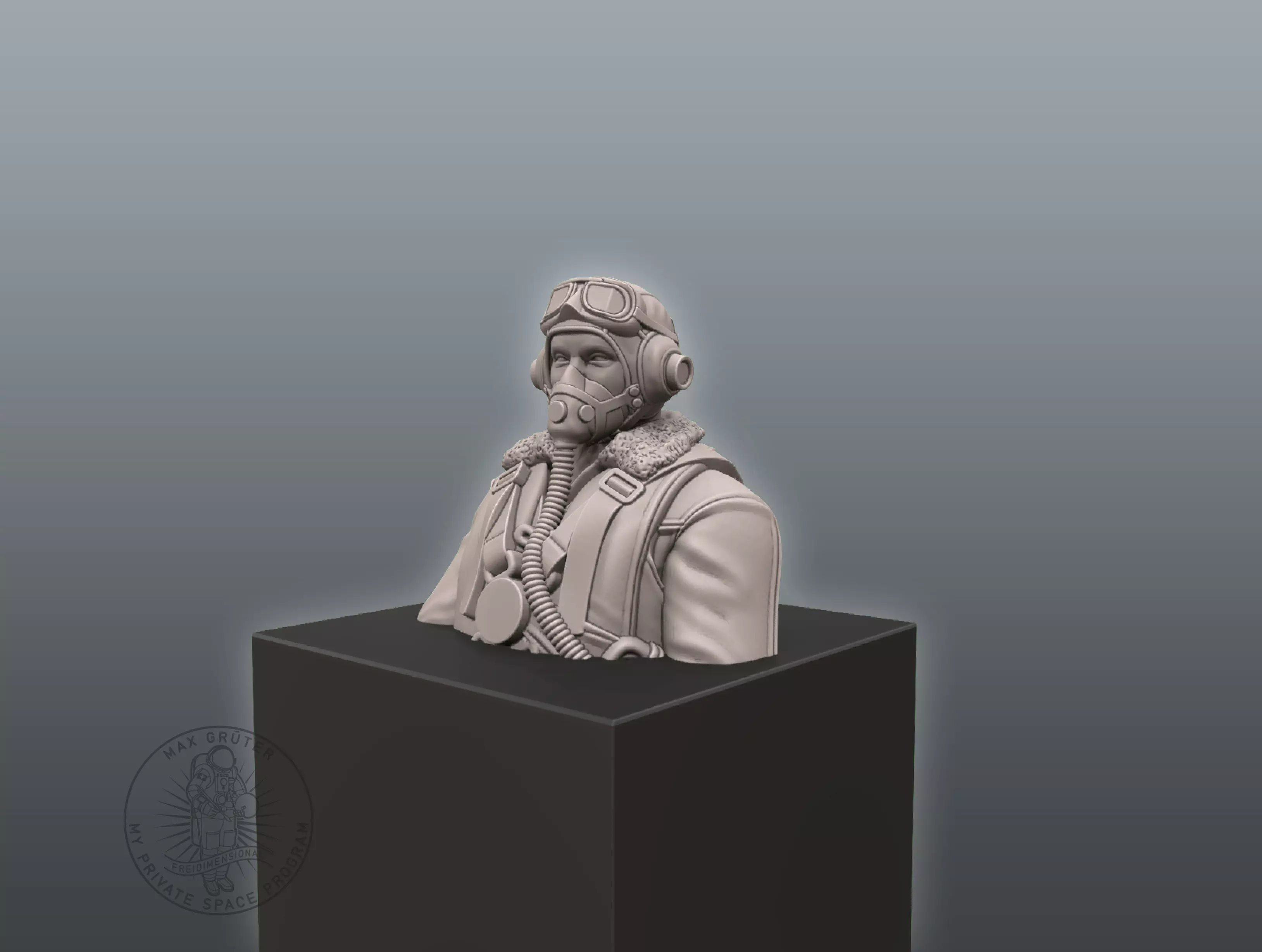 Pilot Bust 3D print model_0