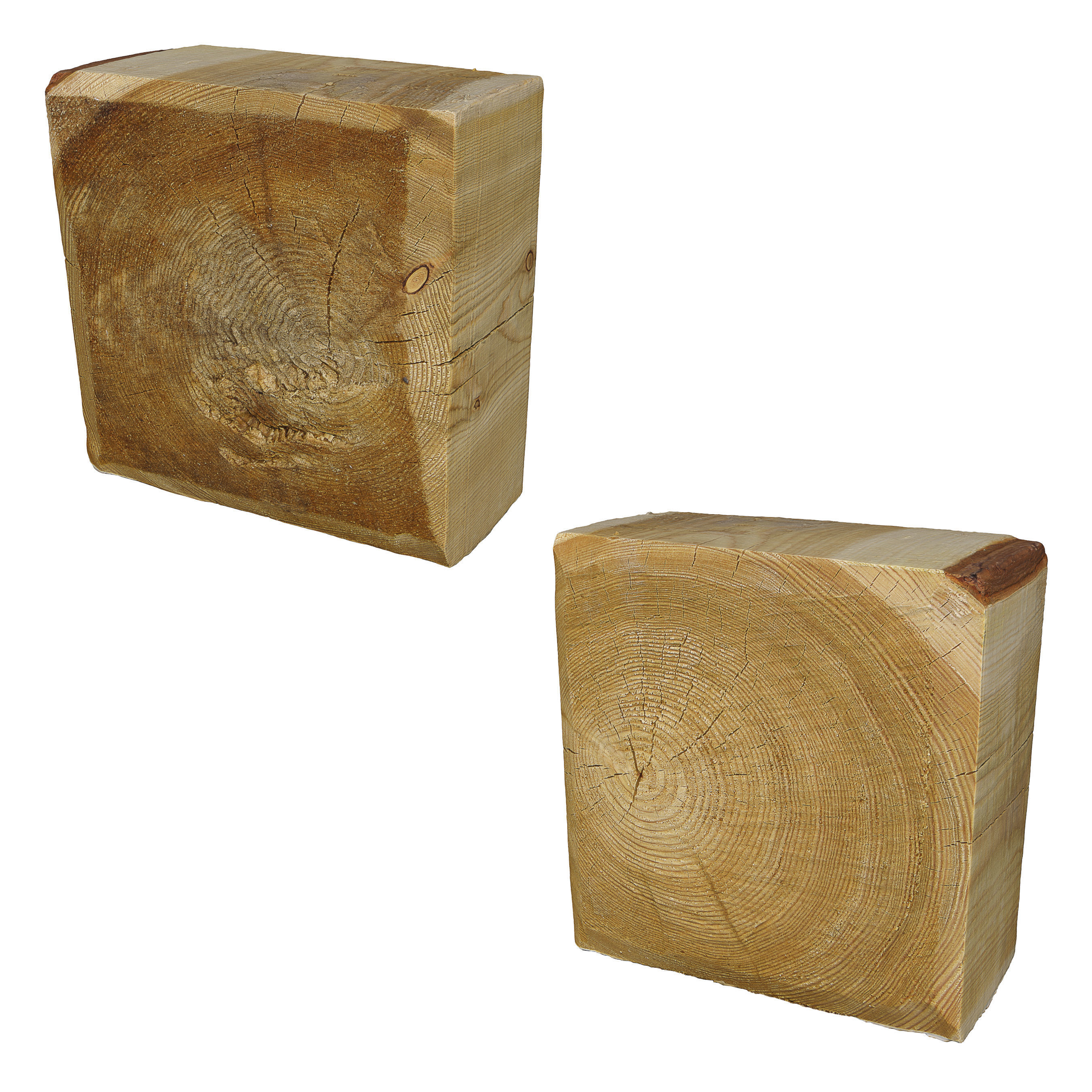 Ultra realistic Tree Stump 3D model_2