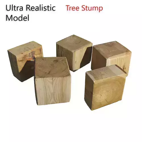 Ultra realistic Tree Stump