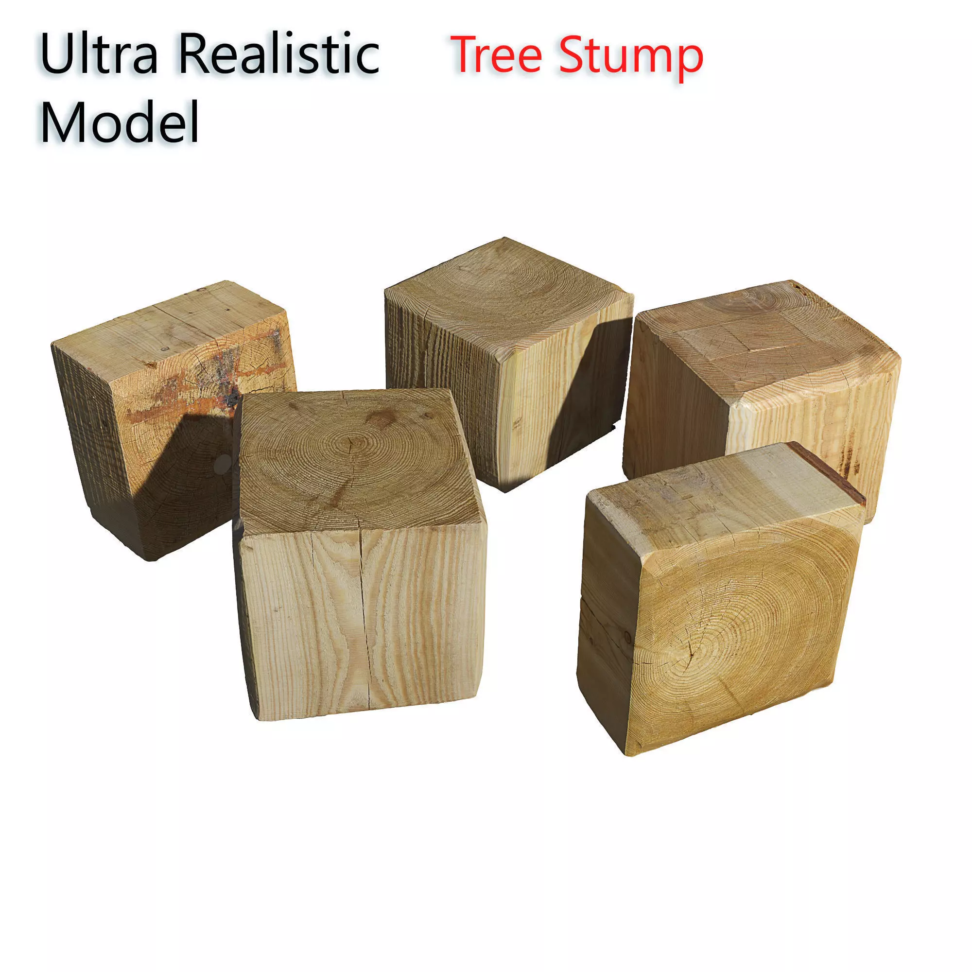 Ultra realistic Tree Stump 3D model_0