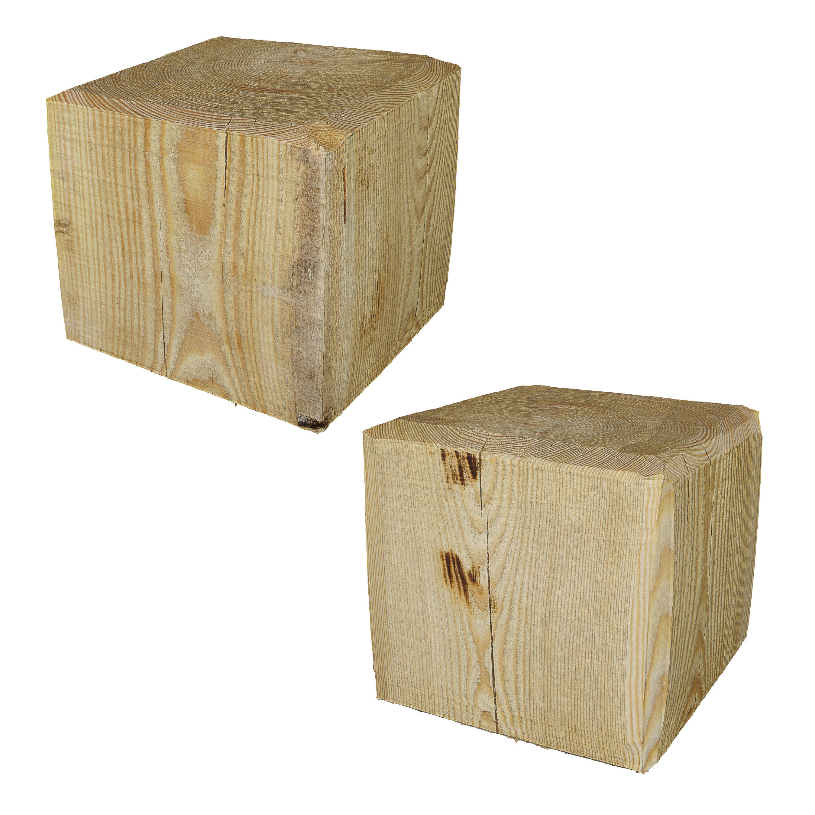 Ultra realistic Tree Stump 3D model_10