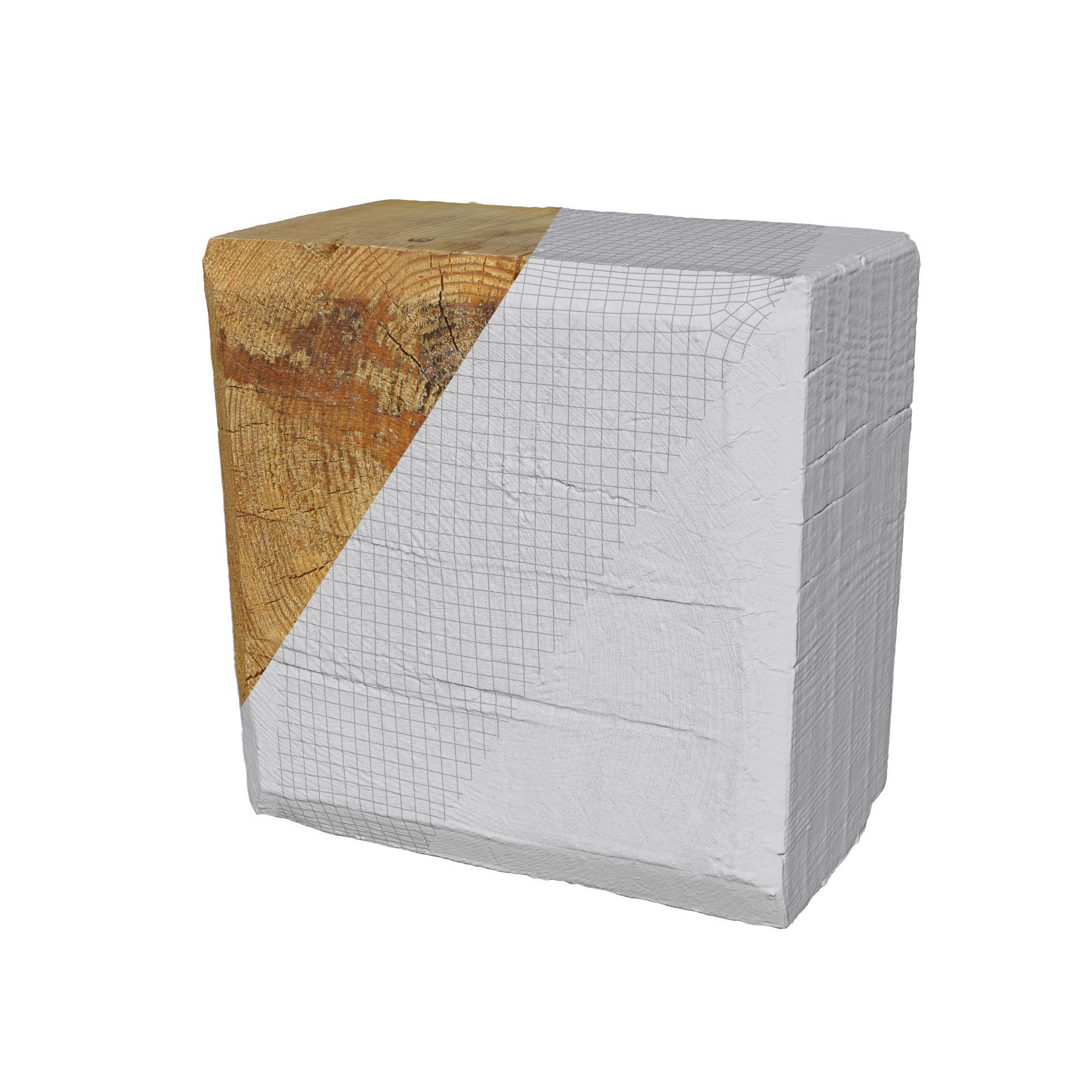 Ultra realistic Tree Stump 3D model_1