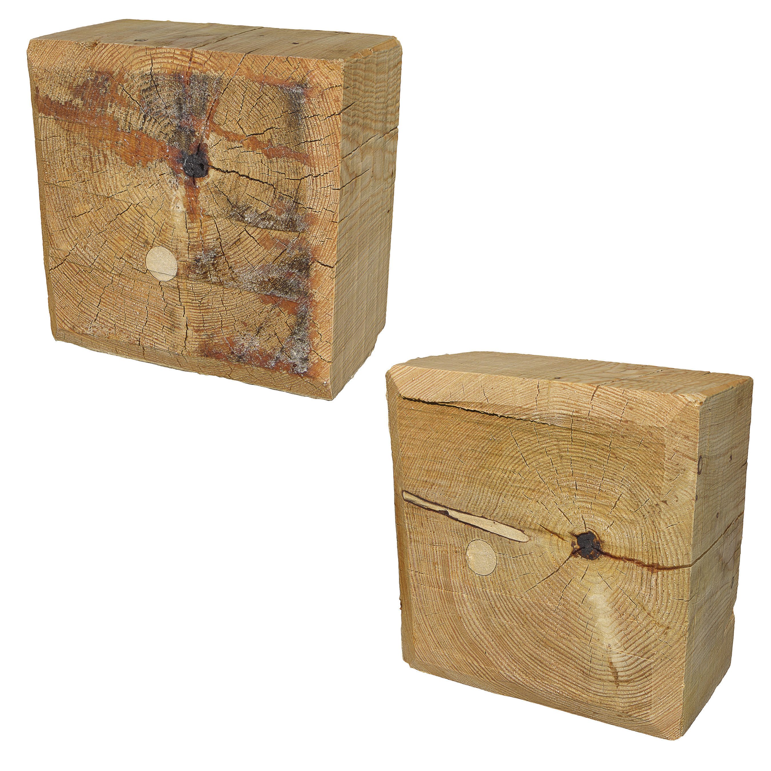 Ultra realistic Tree Stump 3D model_4