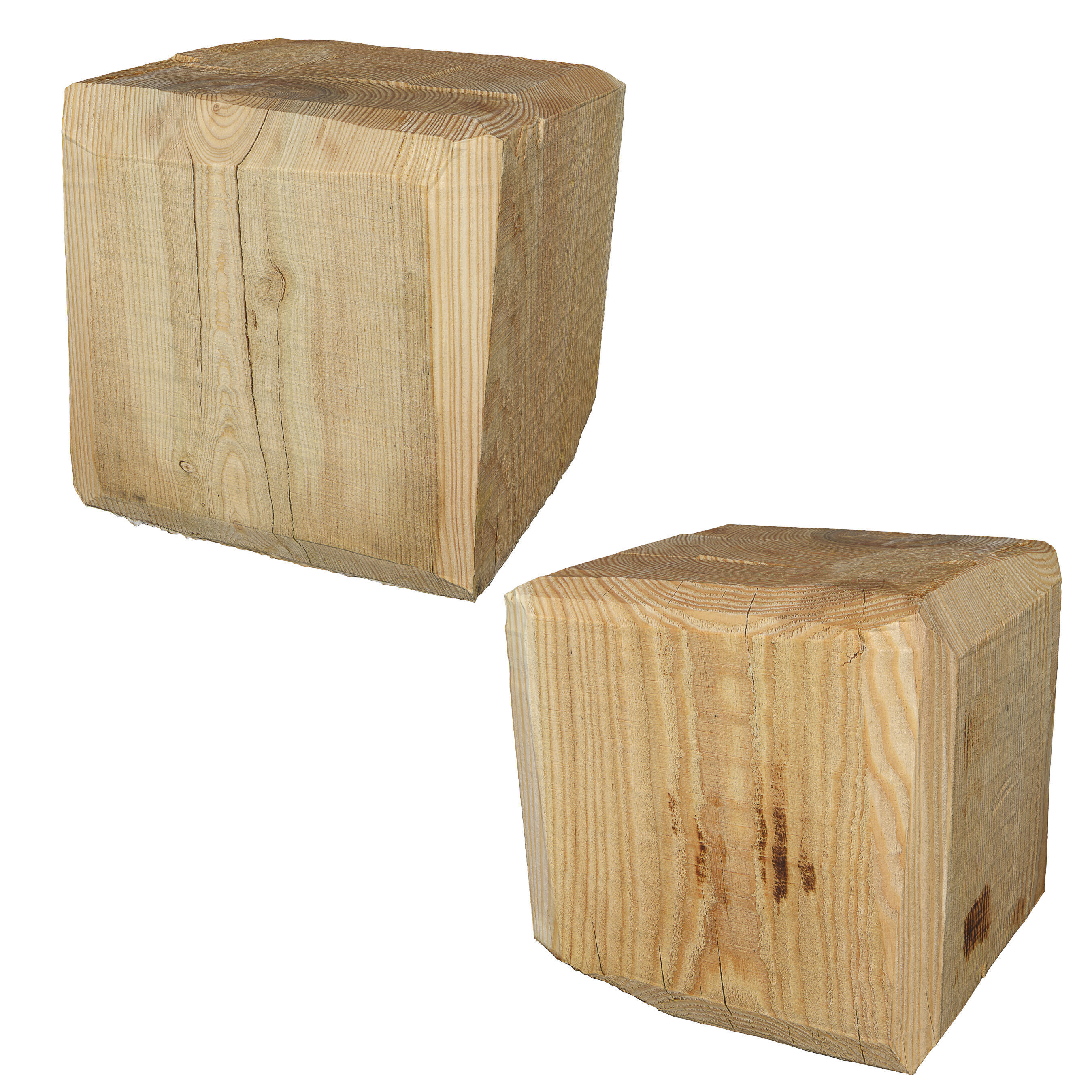 Ultra realistic Tree Stump 3D model_6