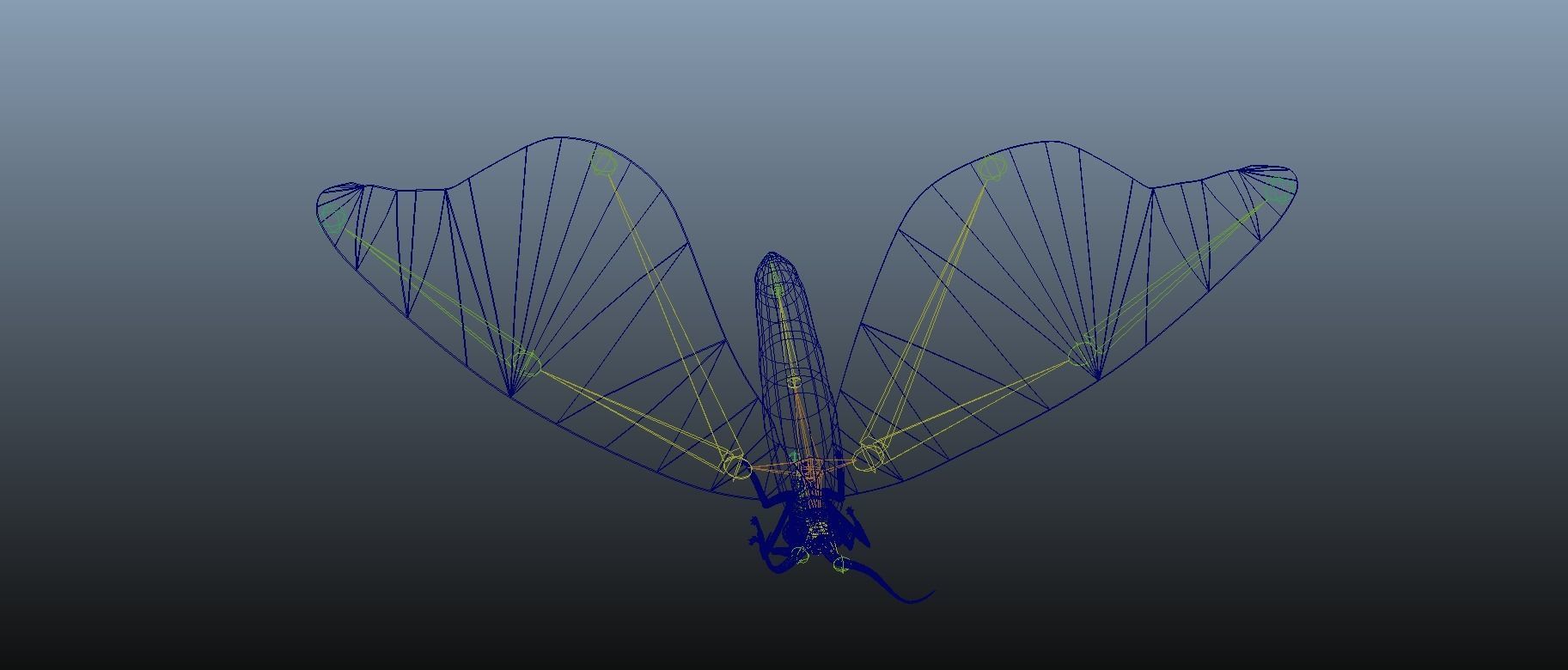 Moth Insect 3D model_20