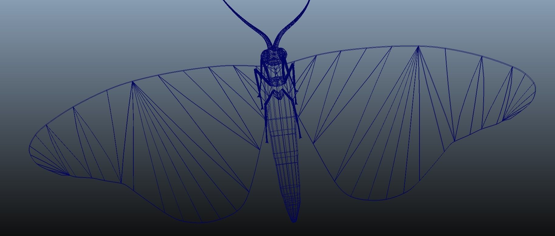 Moth Insect 3D model_6