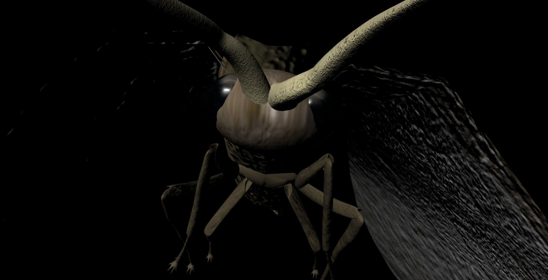 Moth Insect 3D model_3