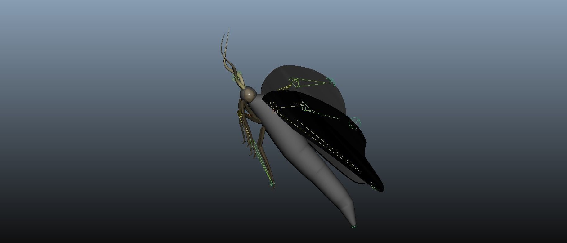 Moth Insect 3D model_22