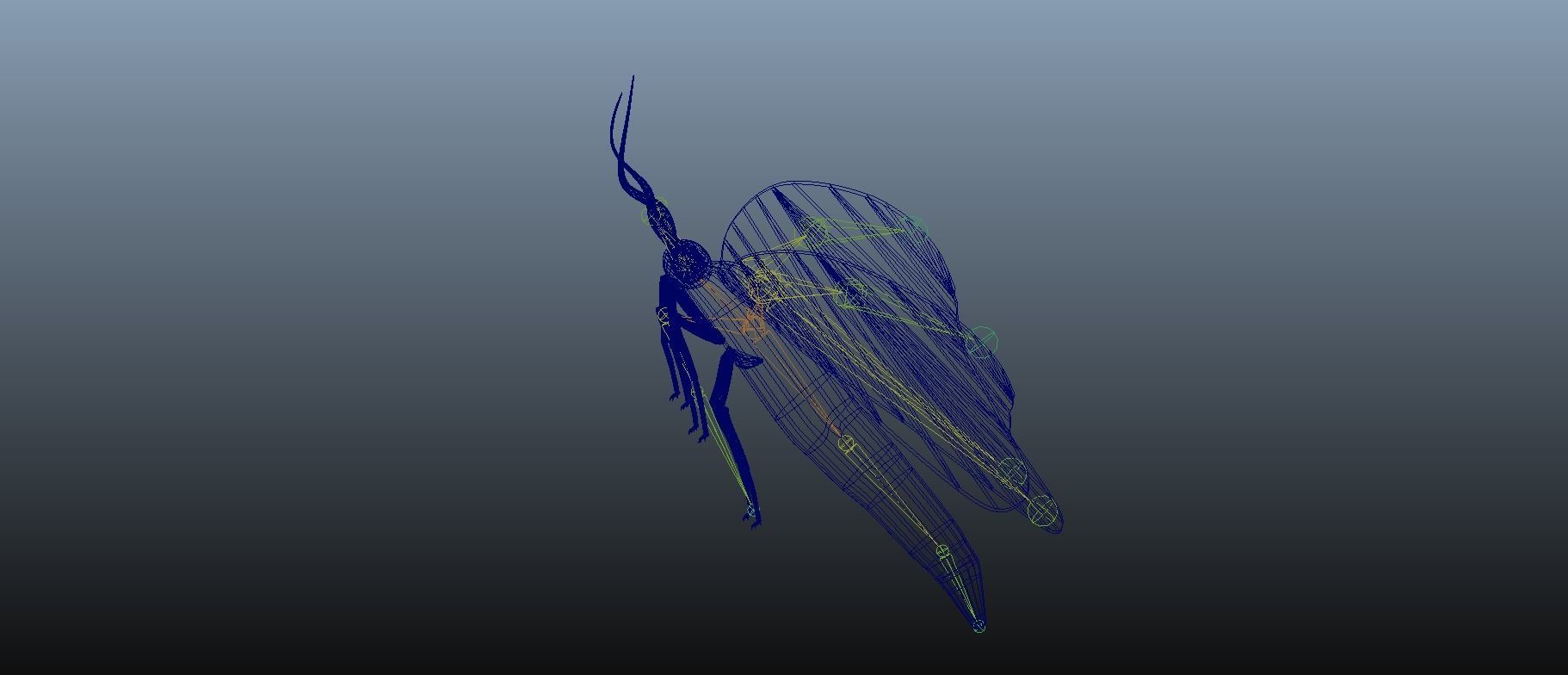 Moth Insect 3D model_23