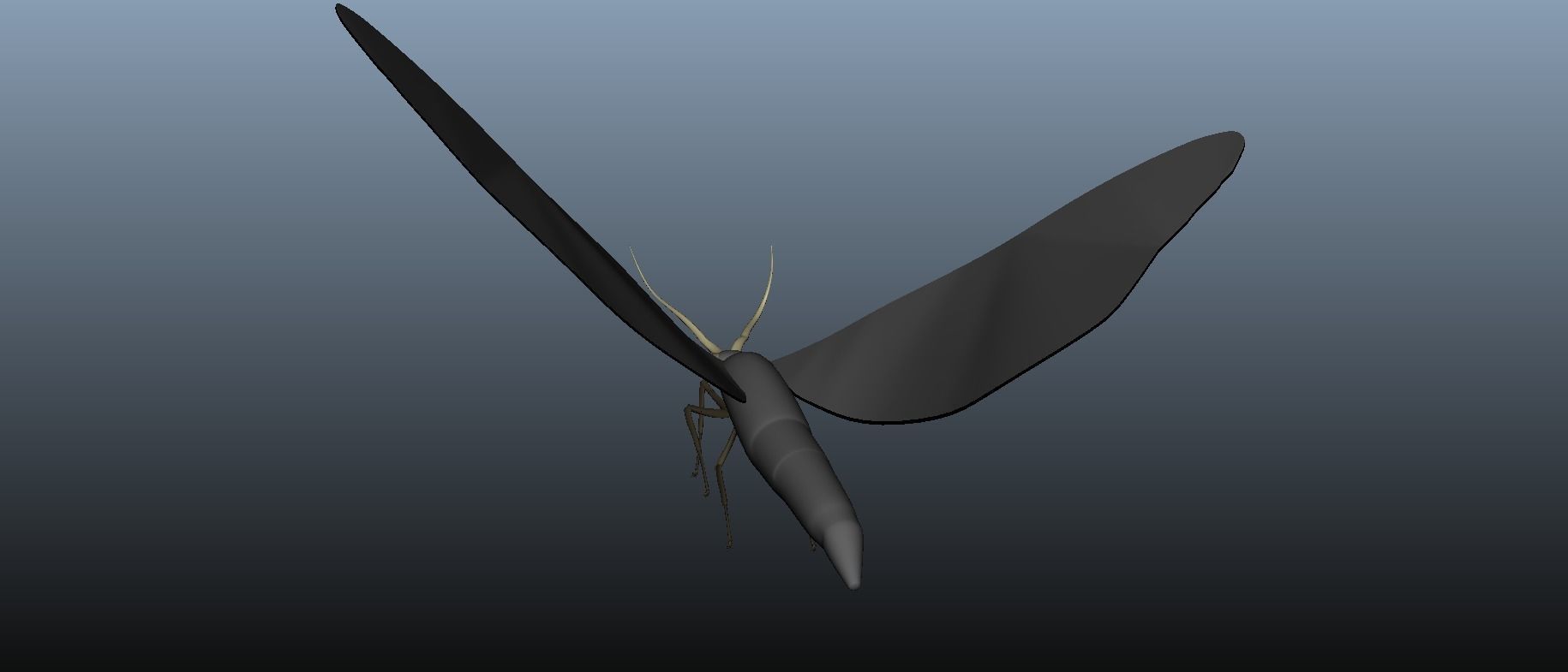 Moth Insect 3D model_13