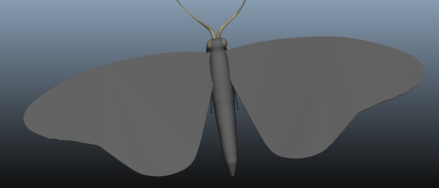 Moth Insect 3D model_5