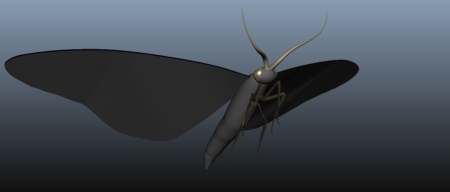 Moth Insect 3D model_9